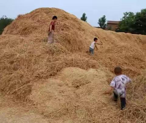 童年_打麦场上的少年