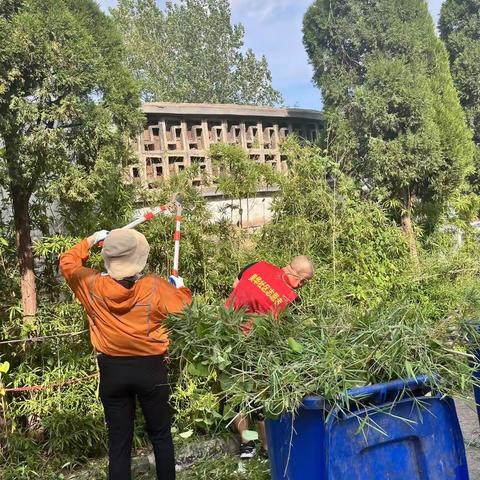 喜迎二十大，永远跟党走！___美华社区志愿者挥汗建设家园