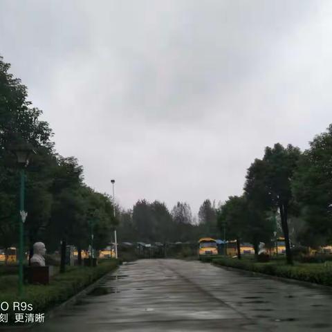 雨后清新的空气，弥漫了整个校园。深秋的校园依旧光彩照人，树依旧那么绿.花依旧竞相开放，校园依旧充满生机。