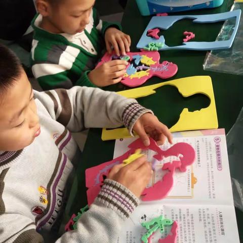 春城学校4.3科学课《食物在人体内的旅行》