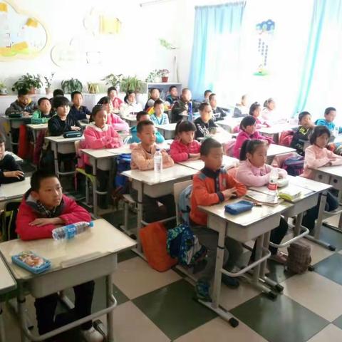 春城学校科学课精彩瞬间回顾