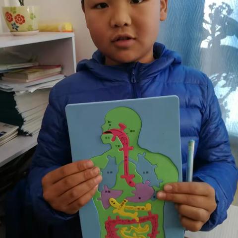 春城学校4.2科学课《食物在体内的旅行》