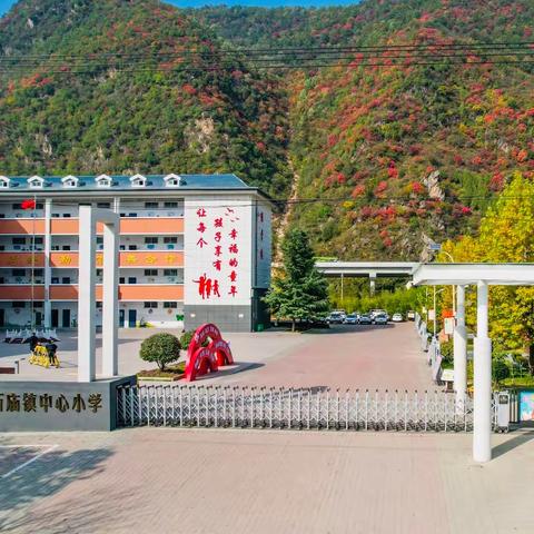 乐音声声  研无止境——栾川县中小学音乐教学研讨会纪实