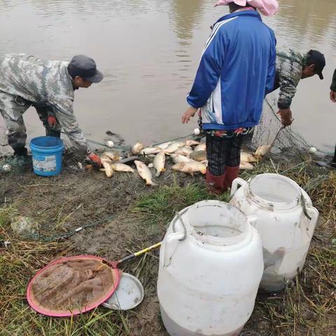 长白县邮储银行与自然资源局节前走访慰问扶贫村