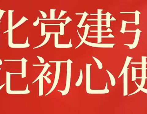 切实规范支部建设 有力引领学校发展