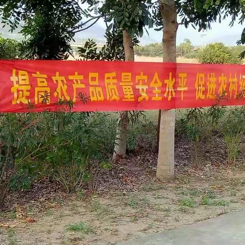 挂宣传横幅