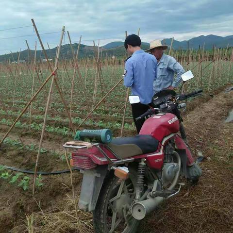 留给自己的无标题岁月