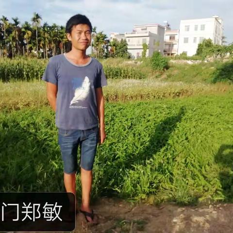 保港组2020年常年蔬菜