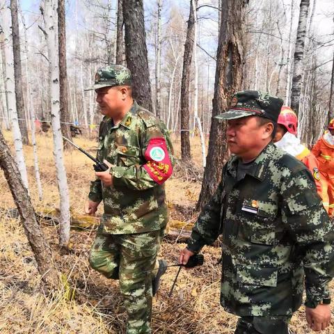 实战练兵强队伍 守护森林保安全