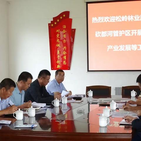 松岭林业局调研组深入砍都河管护区开展基层党建、产业发展等调研工作