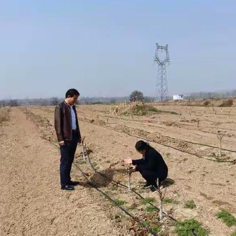 徐亚莉检查推动重点项目建设工作