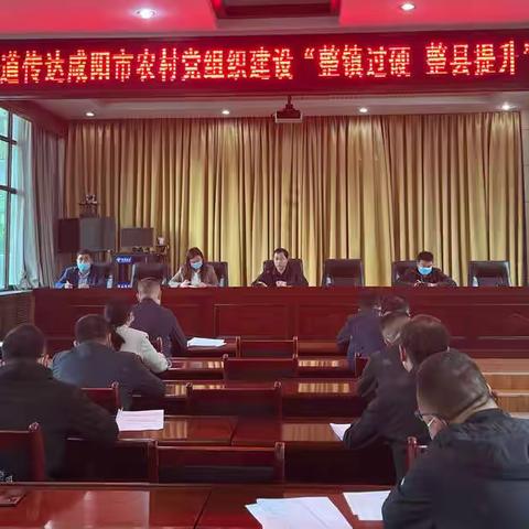 城关街道学习传达咸阳市农村党组织建设“整镇过硬、整县提升”活动暨基层党建重点任务现场推进会会议精神