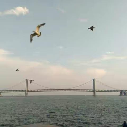 万里征程再起航