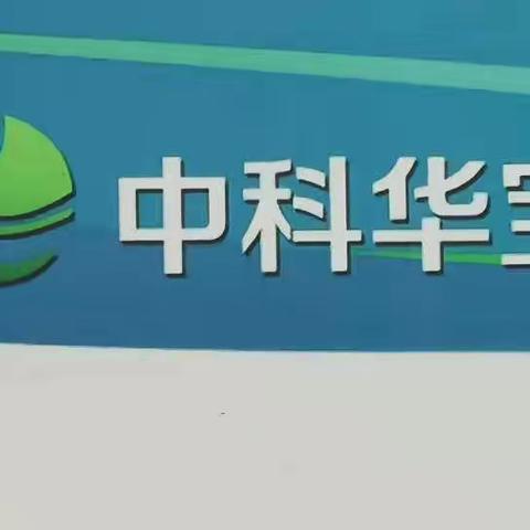 新式车辆清垃圾   环境治理显成效