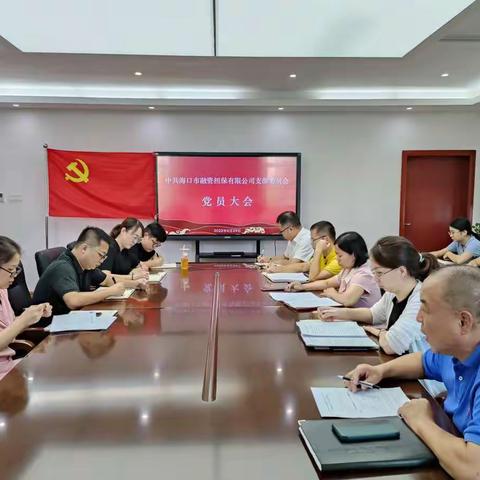 市金控公司融资担保党支部召开支部党员大会