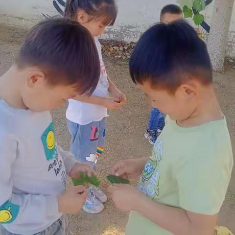 包德日干图幼儿园《多彩的树叶》园本主题活动
