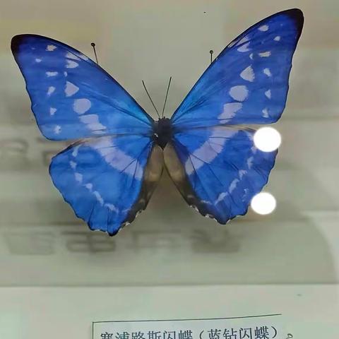 去植物园