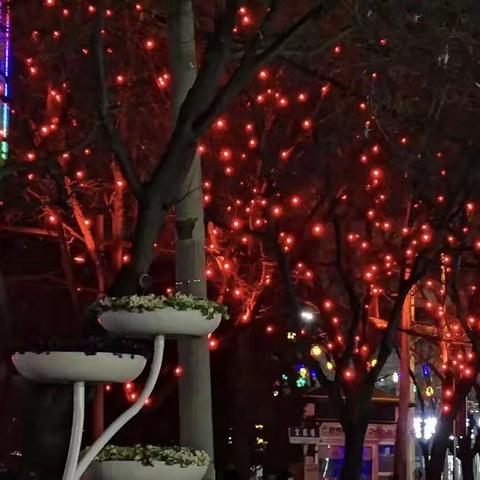 周子芸的假期生活