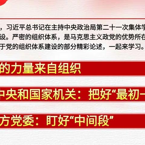 传达学习习近平妙论党的组织体系建设——海口市滨海第九小学第一支部语文1组学习纪实