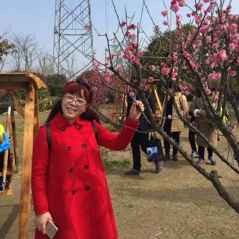 春游大丰梅花湾景区