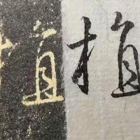 集字圣教序 植