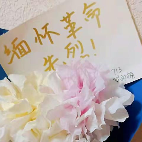 713班“清明节”主题班会，缅怀革命先烈，祭奠抗疫英雄