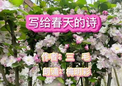 城关前杜楼小学“最美朗读者”风采展示（春之歌）——六年级