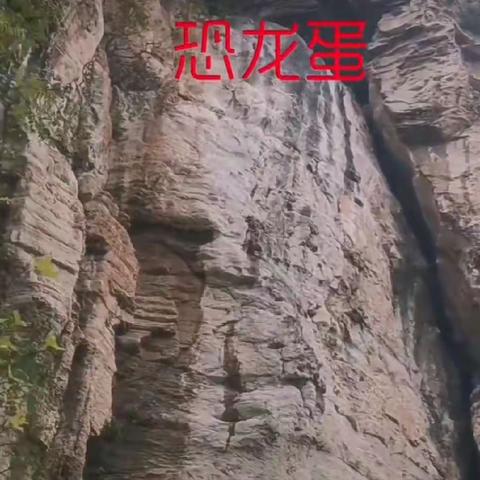 《巅峰户外》11.16号周三非周末免费活动