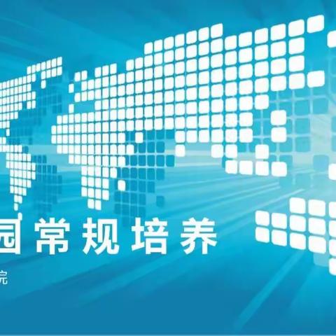 好习惯、助成长——幼儿园常规培养学习简报