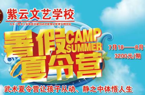 紫云文艺学校武术夏令营