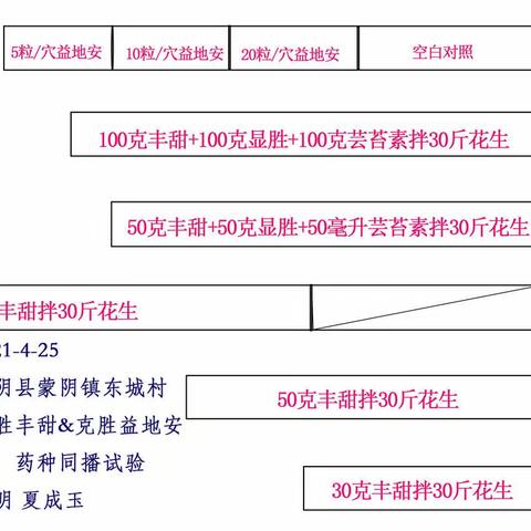 克胜丰甜花生拌种&益地安同播小区试验阶段性汇报