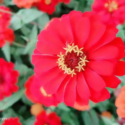 抱怨是一剂毒药