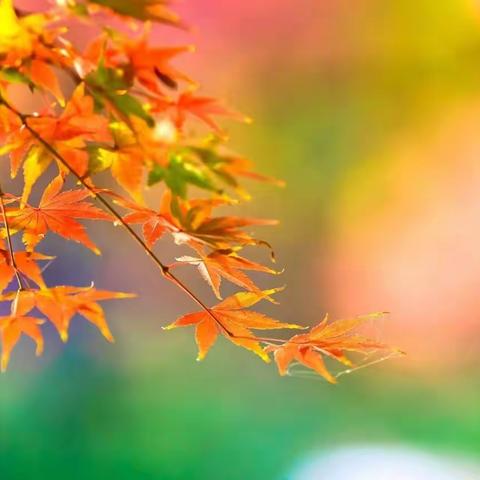 愿时光许你，岁月无扰