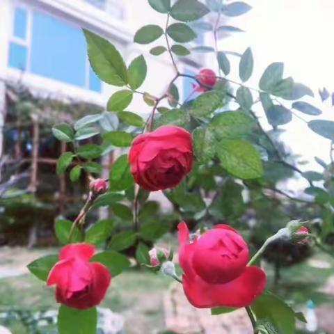 健康生活：​心要简单，人要糊涂