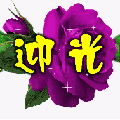 二零一八年最强对联