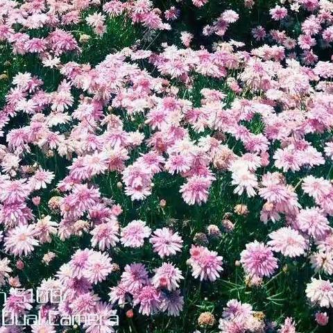 2019年3月16日亲子活动