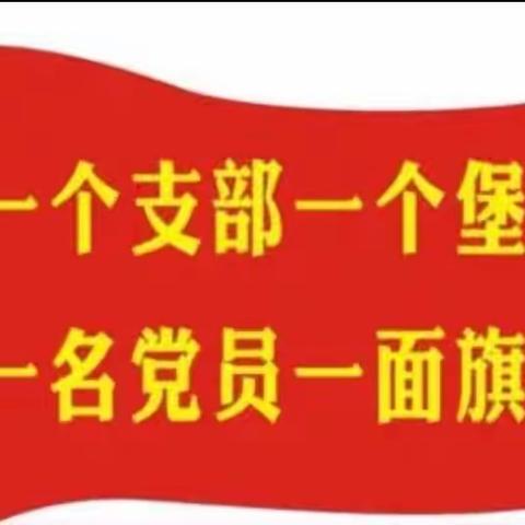 白桑镇中心学校二月份主题党日活动纪实