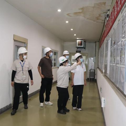 宋海娟带队开展安全生产大检查工作