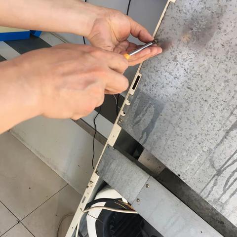 最美的手