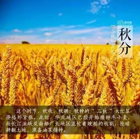 秋分至、秋意浓 ～记那霍中心幼儿园中四班二十四节气之——“秋分”主题活动