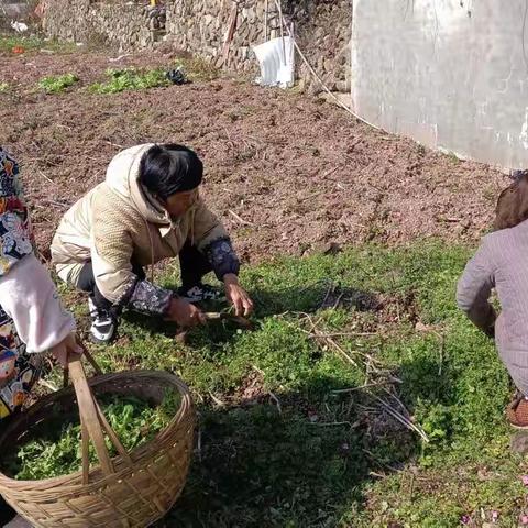 大洋中心小学三（1）班陈甜馨假期生活