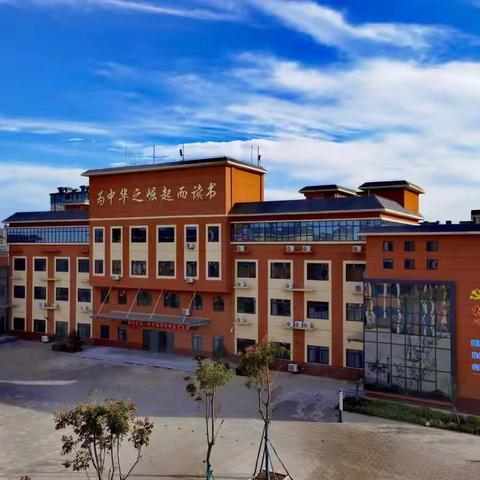 【双减在行动】数梅染瓣    消寒润暖——大荔县第二实验小学学科主题实践活动