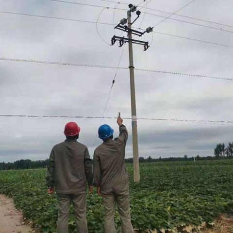 国网邱县公司:加强雨后特巡特护，确保电网安全稳定