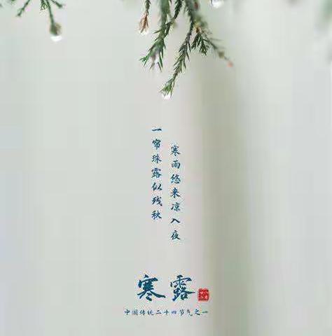 思政教育 | 菊花散晴阳，赤叶变寒露 —津南三幼二十四节气课程组（寒露）