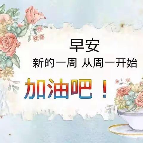 小刘的美篇