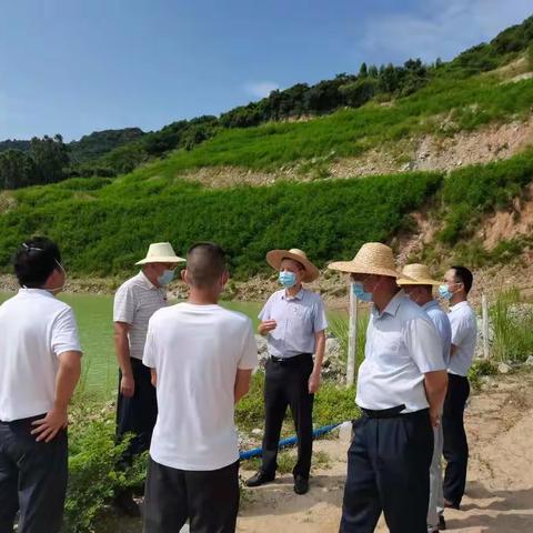 市委副书记、市长卢胜赴大田镇好德石场开展巡林工作