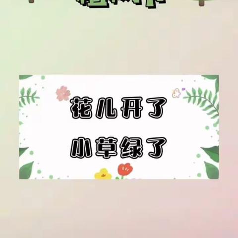爱树  护绿——从我做起