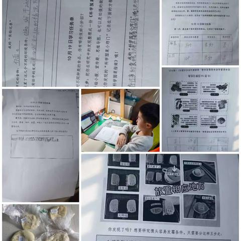 “我是科学囤菜小能手”——水车园小学三年级七班向日葵小组