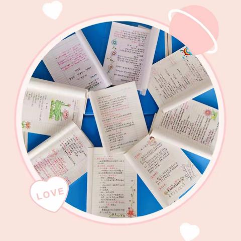 梅花香自苦寒来 ，宝剑锋从磨砺出——记郯城县第六实验小学科学及道德与法治业务检查活动