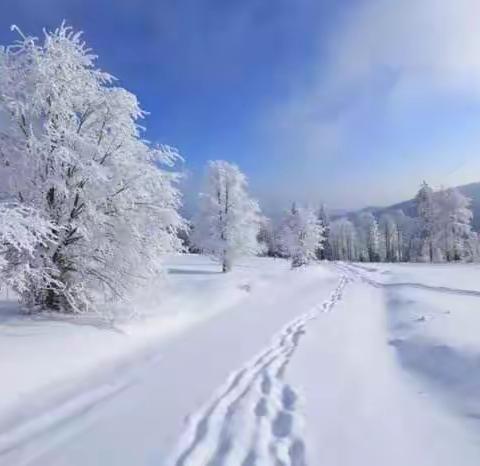 今日立冬，怀念那白雪皑皑